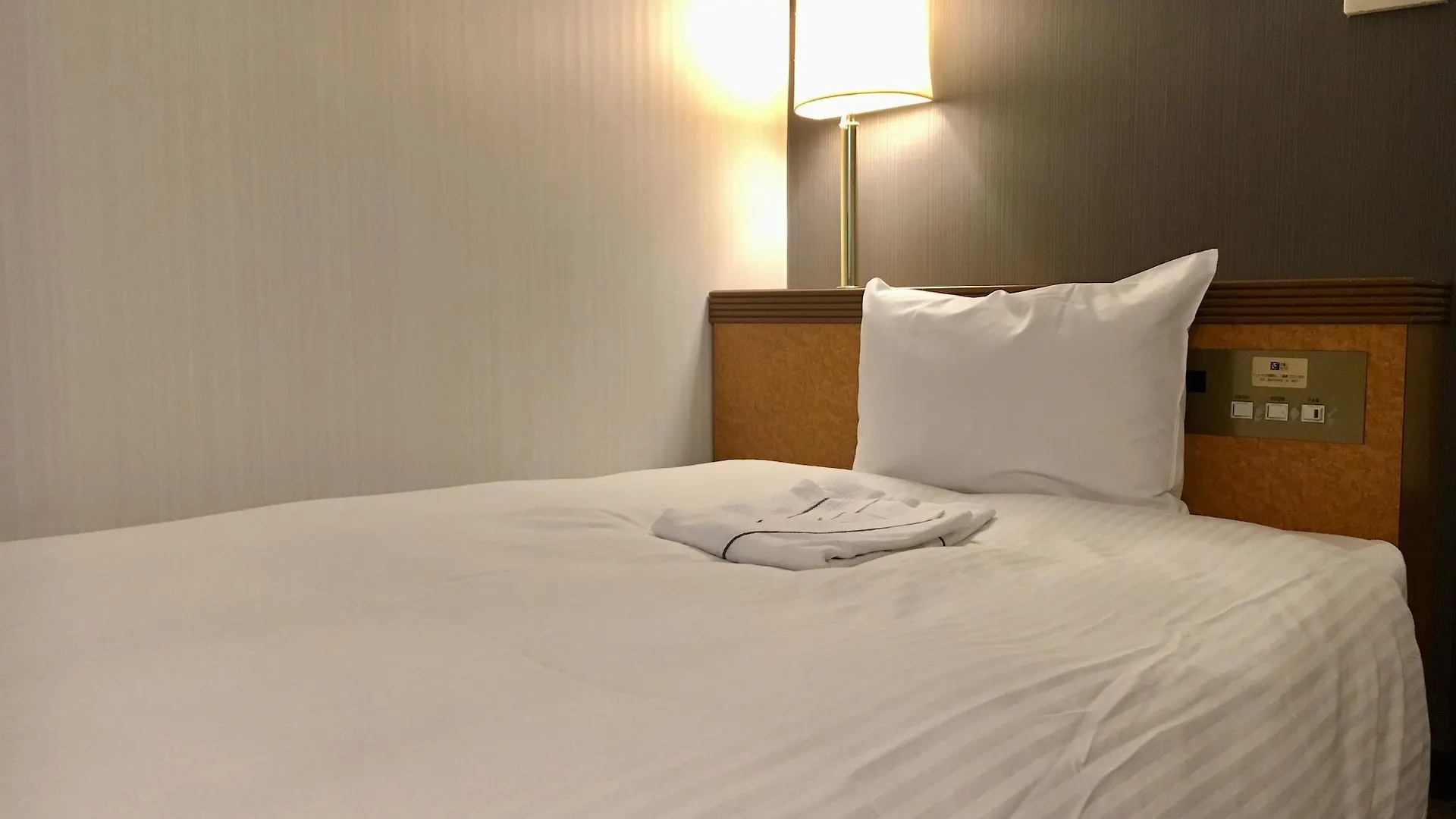 Ueno Terminal Hotel Токио
