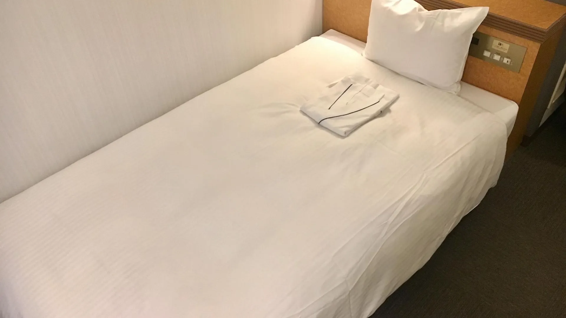 Ueno Terminal Hotel Токио